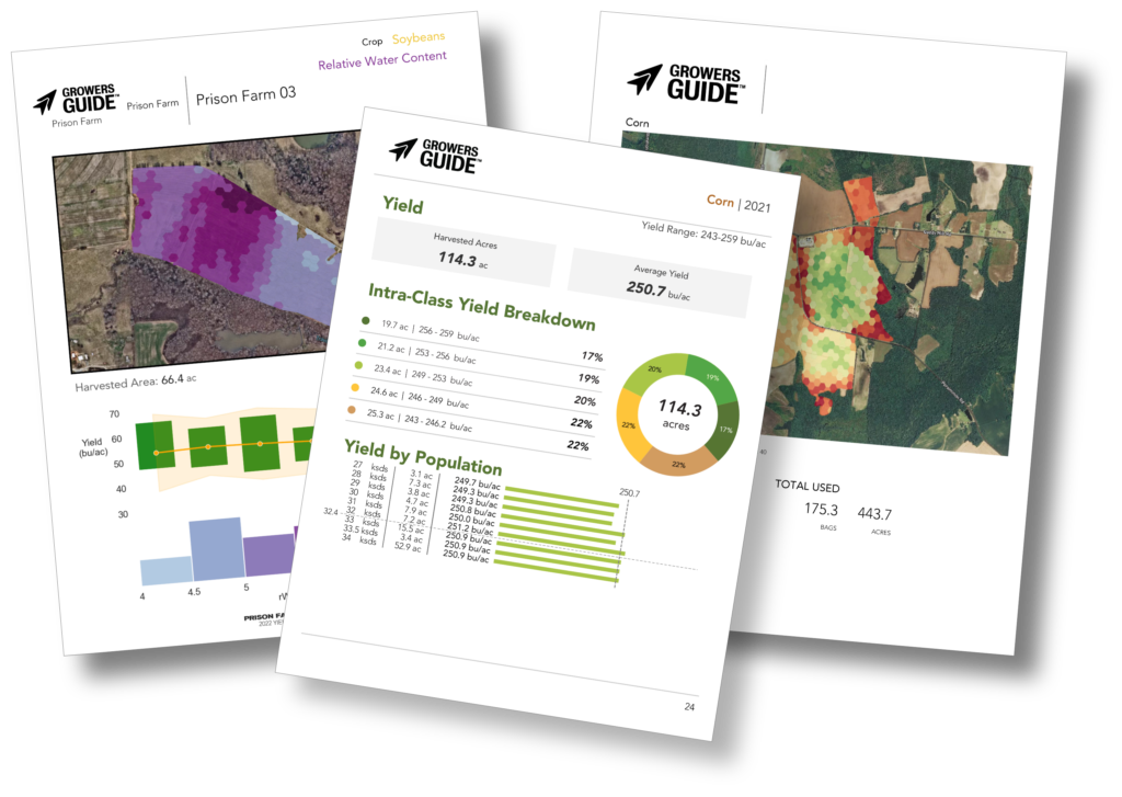 Custom reports, recommendations and consulting with FREE SPECE INC Guide