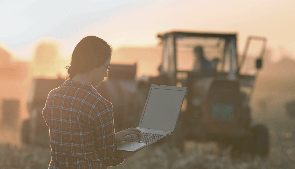 Women on computer at the farm.
